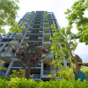 等待風(fēng)起、河畔青青