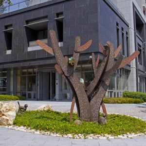 大樹(shù)下的時(shí)光