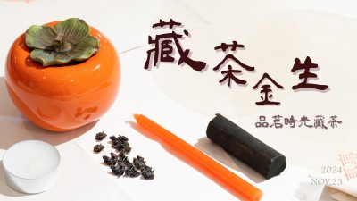 生活習(xí)作 x 藏茶金生 - 品茗時(shí)光藏茶
